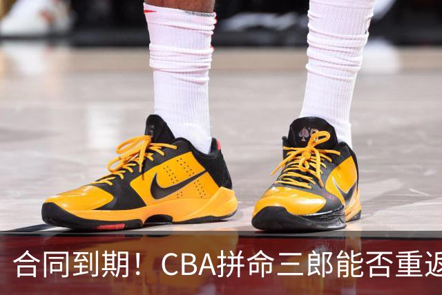 合同到期！CBA拼命三郎能否重返广东？期待辅佐徐杰、胡明轩